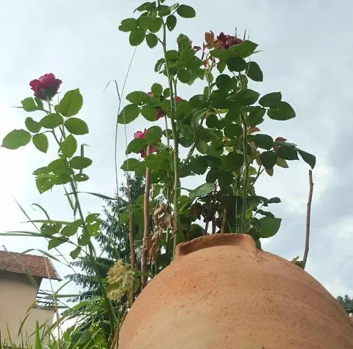 Maison d'hôtes семеен хотел-